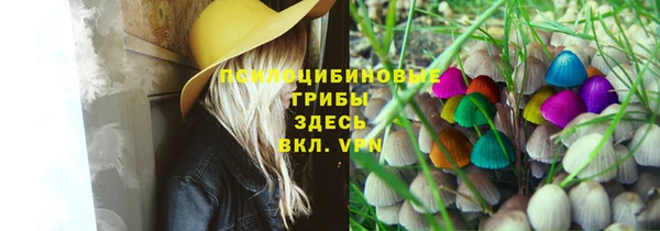 стафф Волоколамск