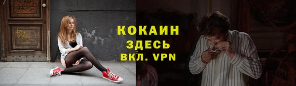 ALPHA PVP Елизово