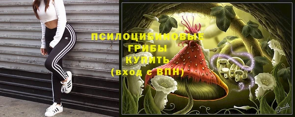 альфа пвп Куйбышев