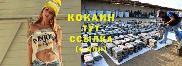 гидра Володарск