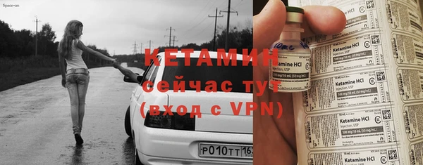 гидра Володарск