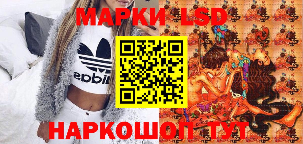 Альфа ПВП Всеволожск