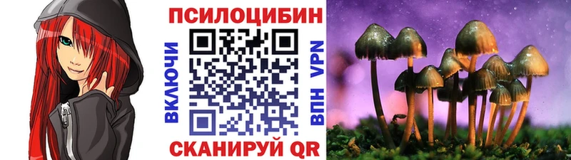 продажа наркотиков  Всеволожск  Галлюциногенные грибы Cubensis 
