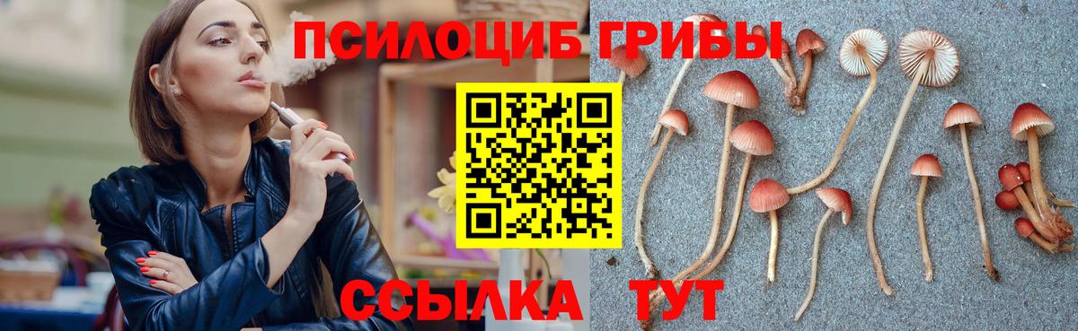 Псилоцибиновые грибы ЛСД Всеволожск