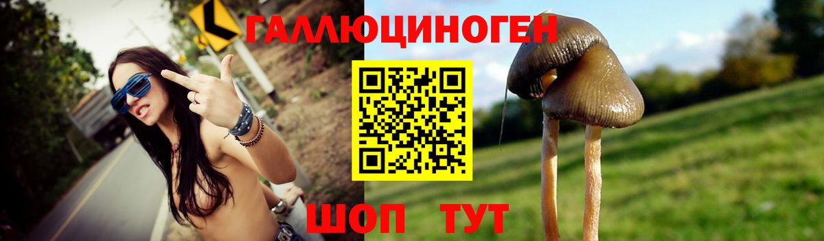 Галлюциногенные грибы прущие грибы  Вход с VPN  Всеволожск 